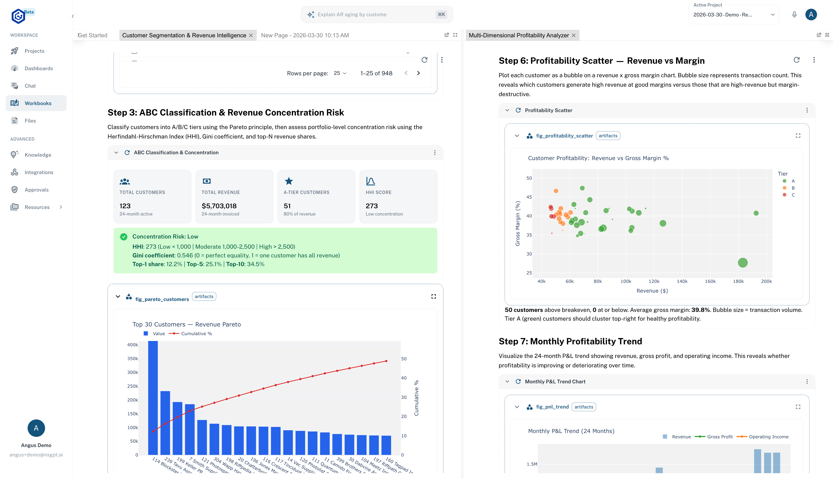 NSGPT workbook showing customer segmentation analysis, revenue Pareto charts, profitability scatter plots, and P&L trends
